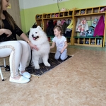 30_dogoterapia.jpg
