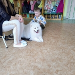27_dogoterapia.jpg