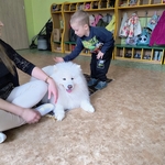 33_dogoterapia.jpg