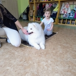 31_dogoterapia.jpg