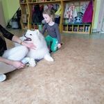 36_dogoterapia.jpg
