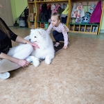 38_dogoterapia.jpg