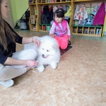 39_dogoterapia.jpg