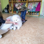41_dogoterapia.jpg