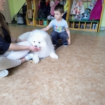 35_dogoterapia.jpg