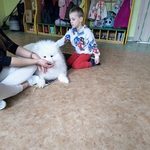 42_dogoterapia.jpg