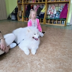 46_dogoterapia.jpg