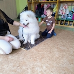 47_dogoterapia.jpg