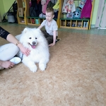 45_dogoterapia.jpg