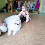 50_dogoterapia.jpg