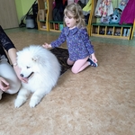 48_dogoterapia.jpg