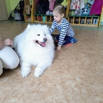 52_dogoterapia.jpg