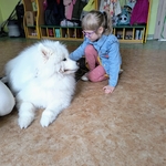51_dogoterapia.jpg