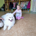 49_dogoterapia.jpg