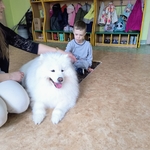 55_dogoterapia.jpg
