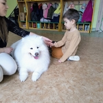 56_dogoterapia.jpg