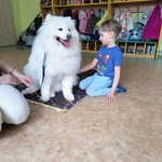 57_dogoterapia.jpg