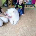 62_dogoterapia.jpg