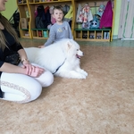 63_dogoterapia.jpg