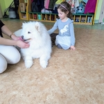 61_dogoterapia.jpg
