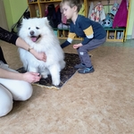 59_dogoterapia.jpg