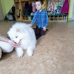 58_dogoterapia.jpg