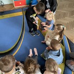 IMG_7376.jpg