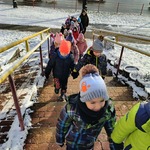 Spacery w okolicy przedszkola
Dzień Misia