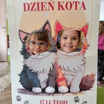 dzień kota