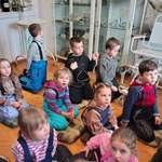  Muzeum Uniwersytetu Medycznego
