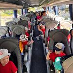 fast_park_26_biedronki_21.jpeg