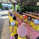 fast_park_26_mrowki_69.jpg