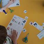 bof_karuzela_zawodow_mrowki_1.jpg